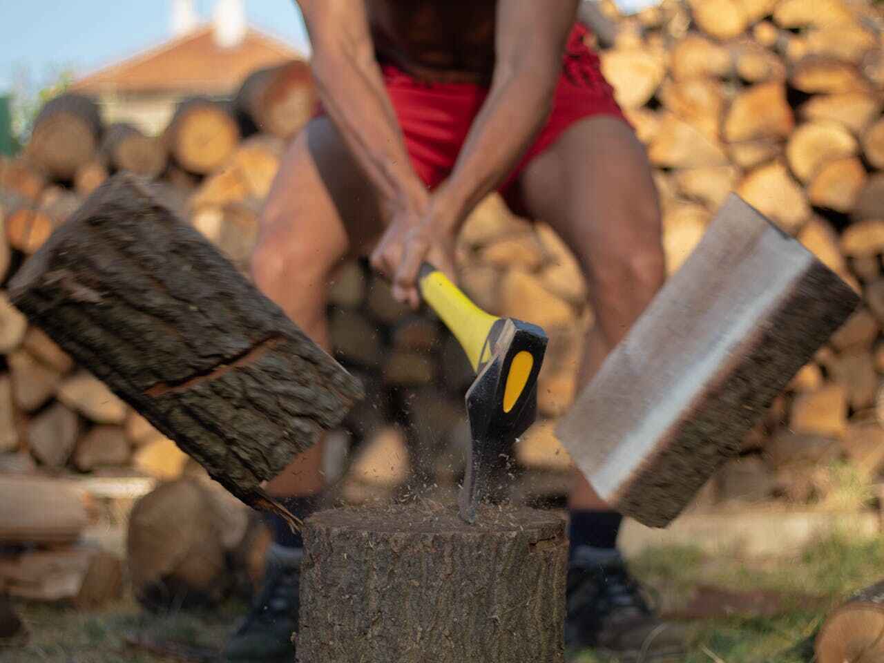 Emergency Storm Tree Removal in Conyers, GA